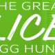 The Great Lice Egg Hunt